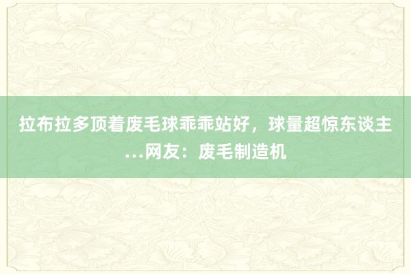 拉布拉多顶着废毛球乖乖站好，球量超惊东谈主…网友：废毛制造机